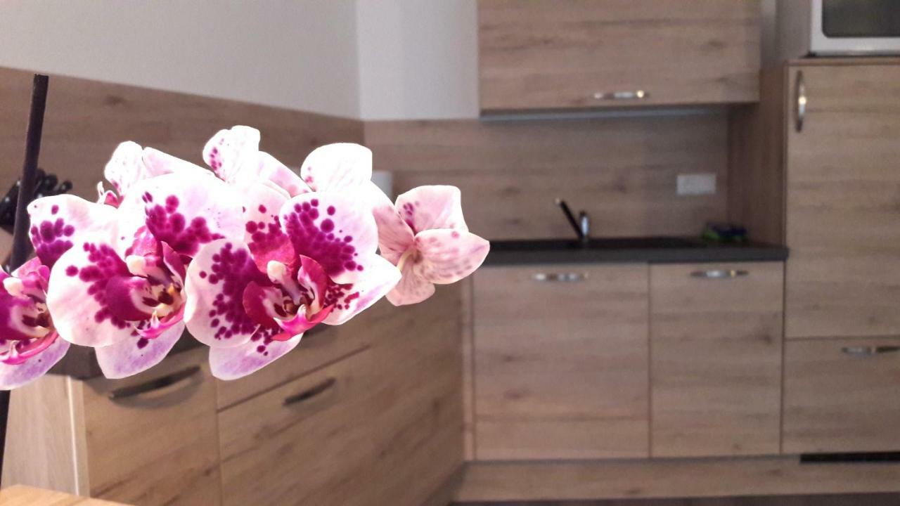 Appartment Charly 修希 外观 照片